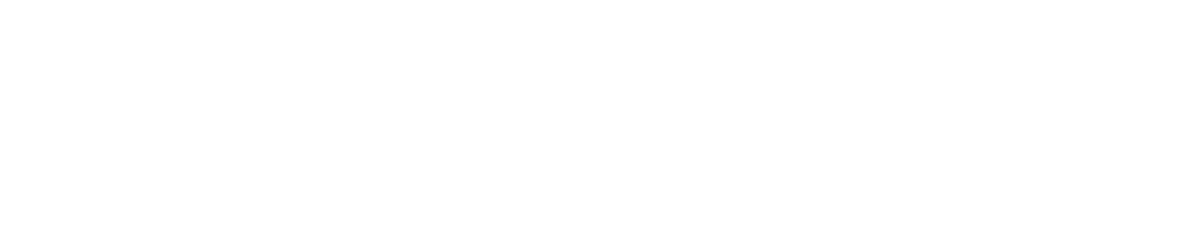 Bungalow Beach Bar & Palapa